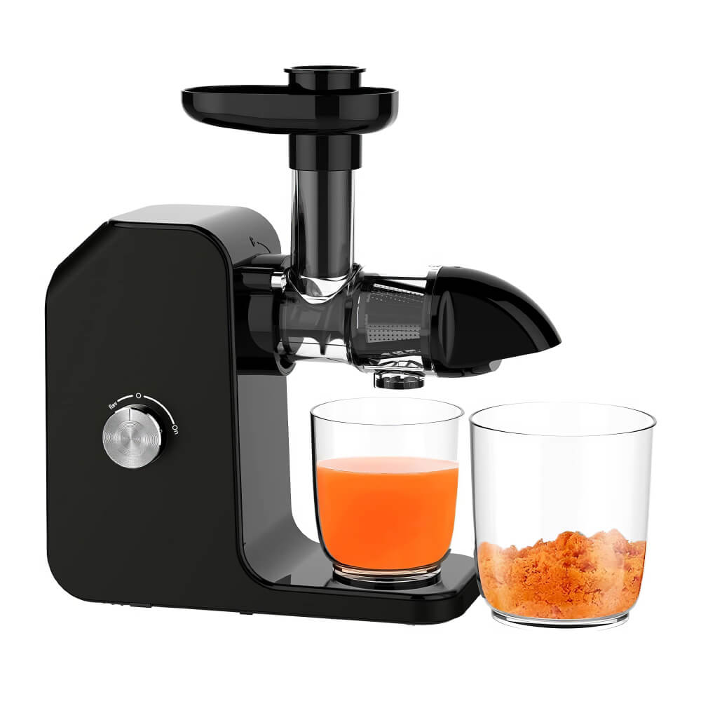 Masticating Juicer with 150W Motor for Fruits and Vegetables